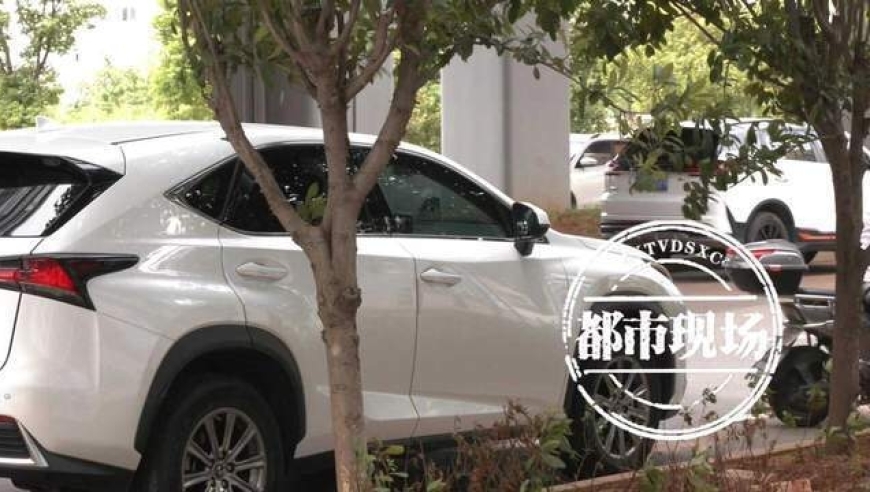 疑虑：雷克萨斯SUV3年后右侧车门被喷涂，是否属于二次喷漆问题？