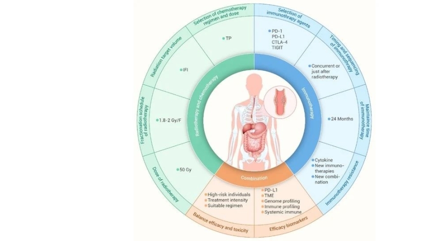 The Innovation Medicine | 革新局部晚期食管癌治疗：放化疗联合免疫治疗的优化策略