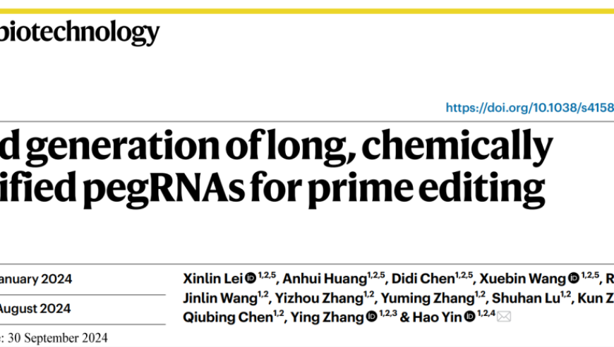 殷昊团队通过创新方法，开发出高效且经济的制备高质量化学修饰ePEGRNA技术