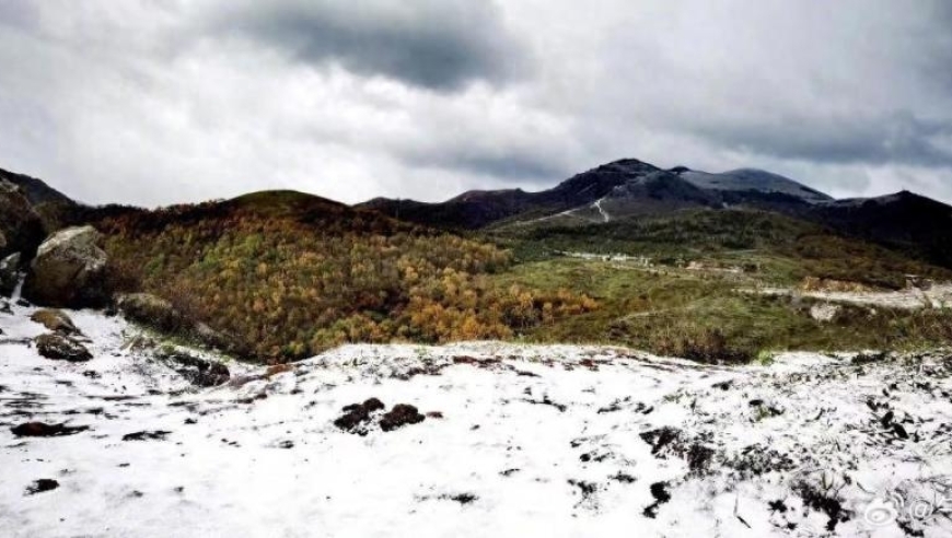 北京、河北、山西等地出现罕见大范围降雪，网友晒出美丽的冬景