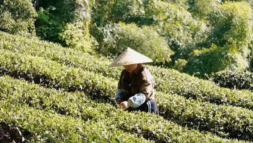 双节长假，我来给你规划一个疯狂的旅游行程！