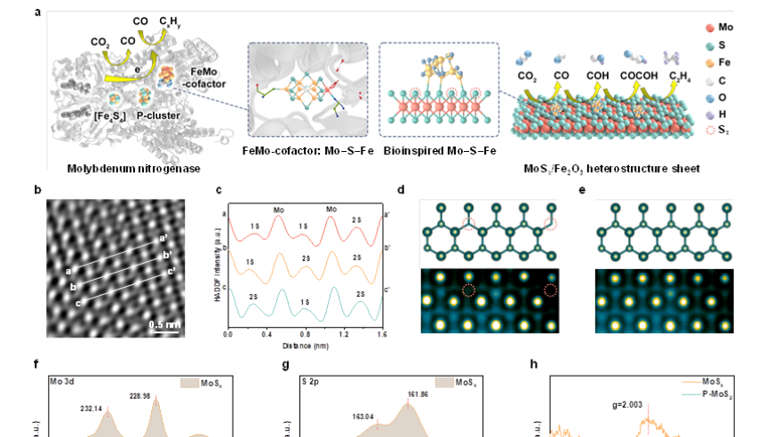 1. 新加坡国立大学刘斌团队研究开发了MoSx/Fe²O₃界面光还原 CO₂制乙烯的新技术
2. 南京大学邹志刚团队和姚颖方成功实现了MoSx/Fe²O₃界面光还原 CO₂制乙烯的工业化应用
3. JACS: MoSx/Fe²O₃界面光还原 CO₂制乙烯是当前科研领域的热点，最新的进展发布在这一领域。