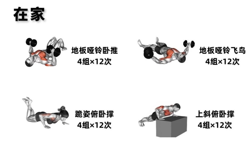 新手小白一周全面训练：从基础到精通的完整指南