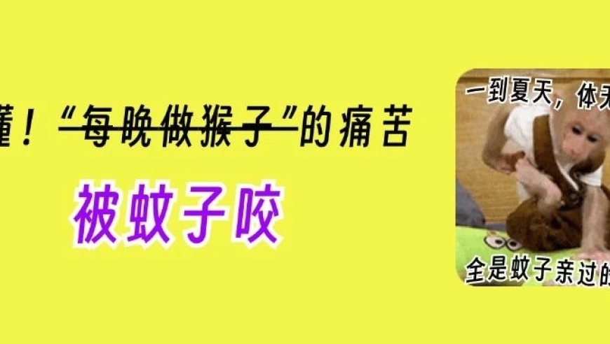 登革热：蚊子叮咬并非恐惧，可怕的是其传播途径与防范措施