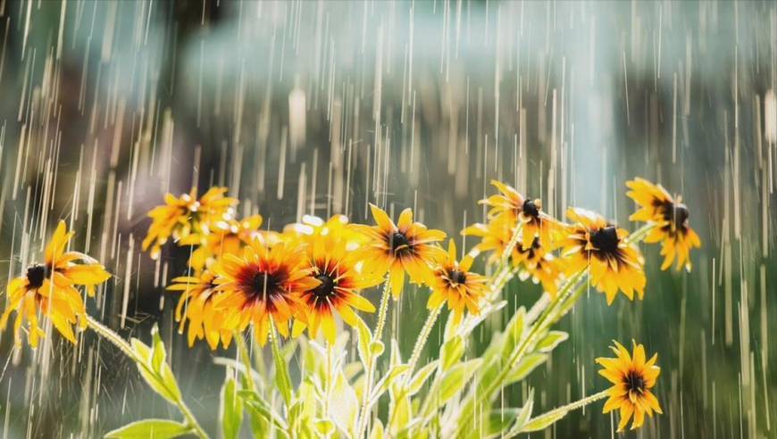 10月11日重阳节：阴雨天气适中，究竟是下得适合还是晴朗更好呢？