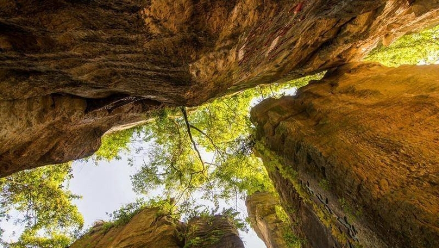 走进神秘的哀牢山：探索湖南寻觅迷途美景