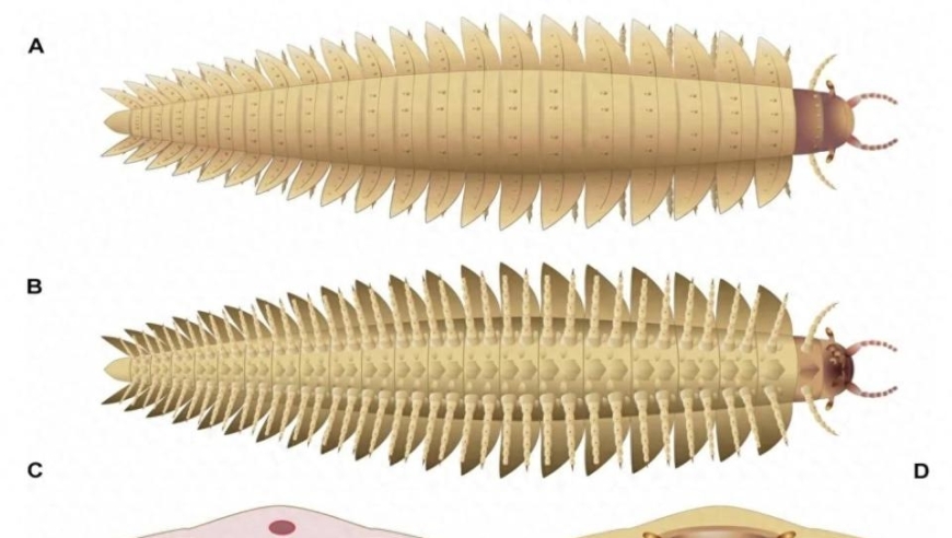科学家重塑史前地球漫游的汽车大小千足虫，其可怕的面孔令人震惊