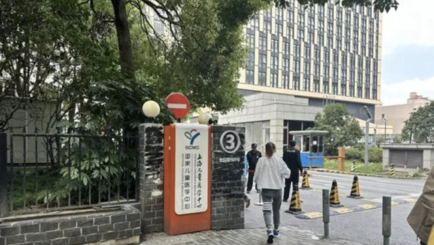 学习困难门诊？两岁娃看，别‘病’急乱投医