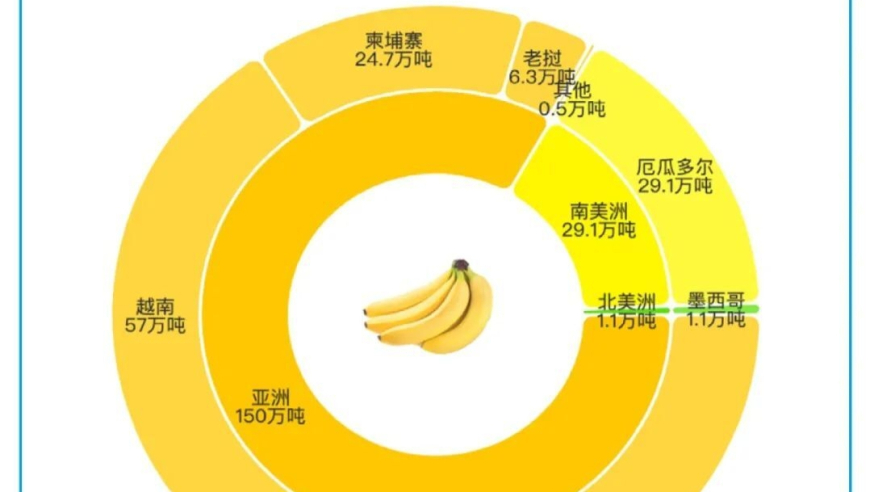 菲律宾曾为中国进口香蕉第一大国，如今却逐渐失去中国市场