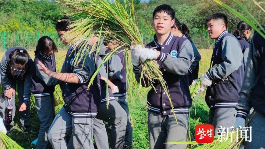 南京致远初中：学生生活感受力增强，结识最美的师生关系