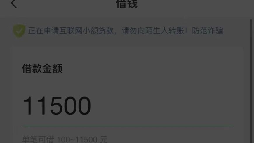 微粒贷: 为何省呗与融担费费用高？贷款利率高达36%