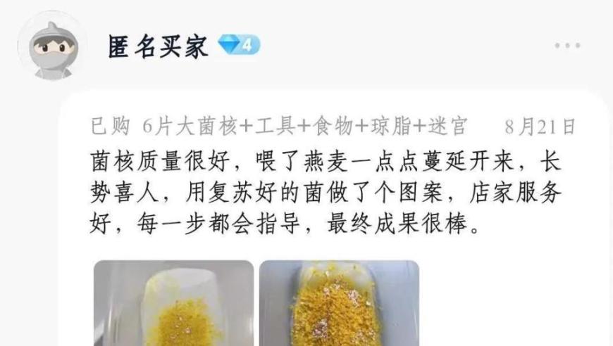 小学生迷上粘菌宝宝，网友惊呼这可能是养细菌？