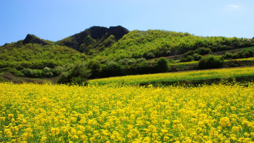 陇西崛起山：休闲露营与自然美景的完美融合之地!