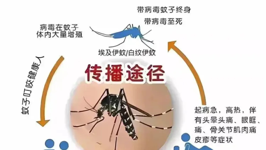 中国登革热病例新增437例，疫情升级！致严重警告：立即采取行动防范