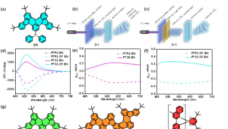 中国科学院化学研究所手性共组装体原理与应用: 放大全色圆偏振发光的实现