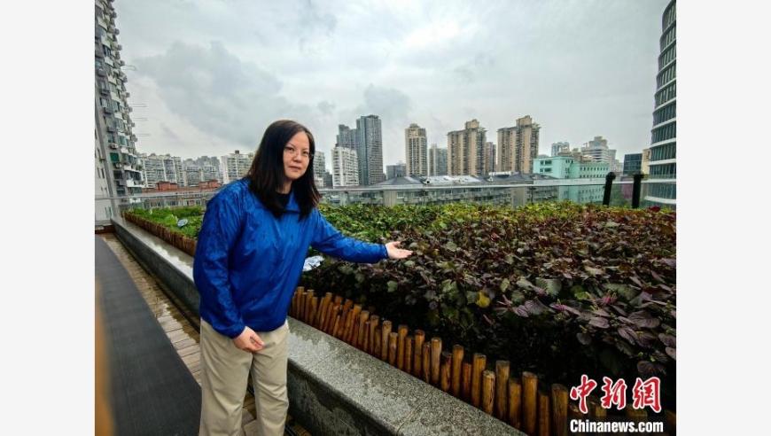 上海打造青少年体验式中医药文化课堂，‘小小本草园’带你探索神秘中药世界