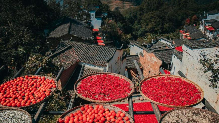 十二星座今日运势解析：未来几个月将产生重大影响