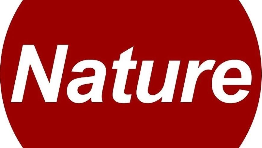 中国学者连续发布四篇Nature论文：苏大、北大的研究成果引人注目