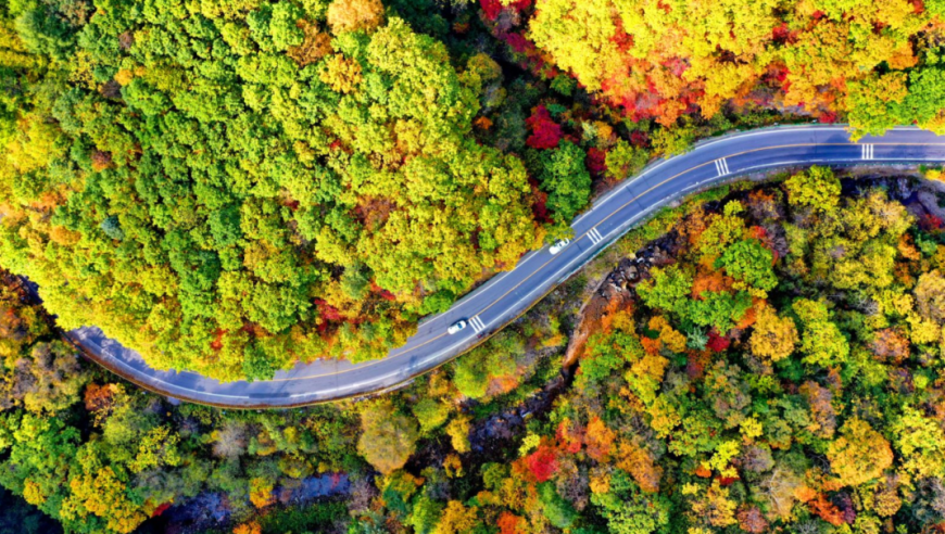 集安·秋天的色彩，正逐渐走进你的视野，你准备好迎接最美的时刻了吗？