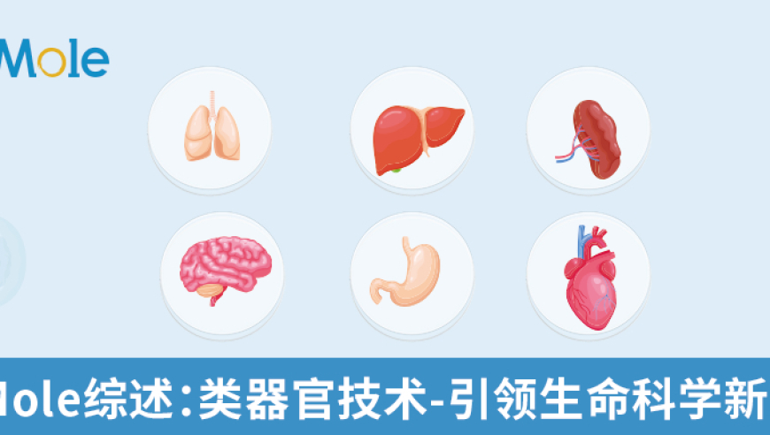 明白这些抑制剂和细胞因子，你的网络工作将会更顺畅!