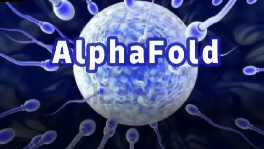 精卵之谜——剖析AlphaFold揭示生命的诞生奥秘