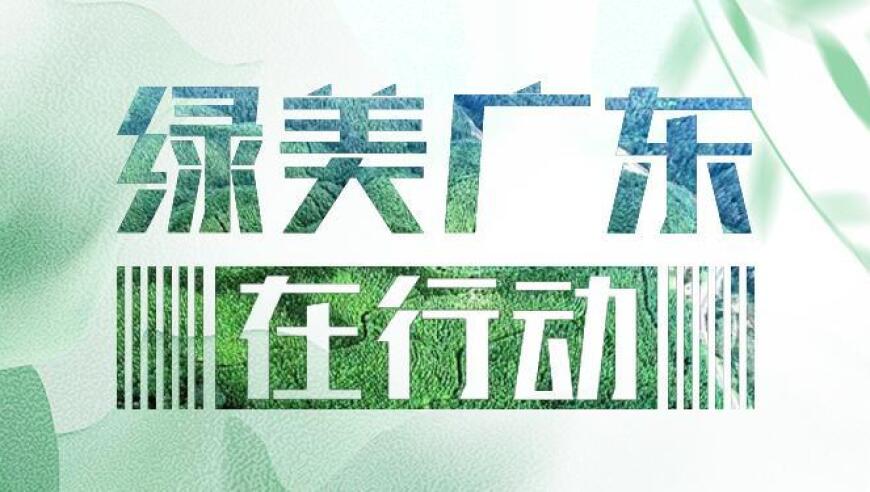 广州从化再添珍稀物种，沿阶草的「全新」发现展示生物多样性魅力