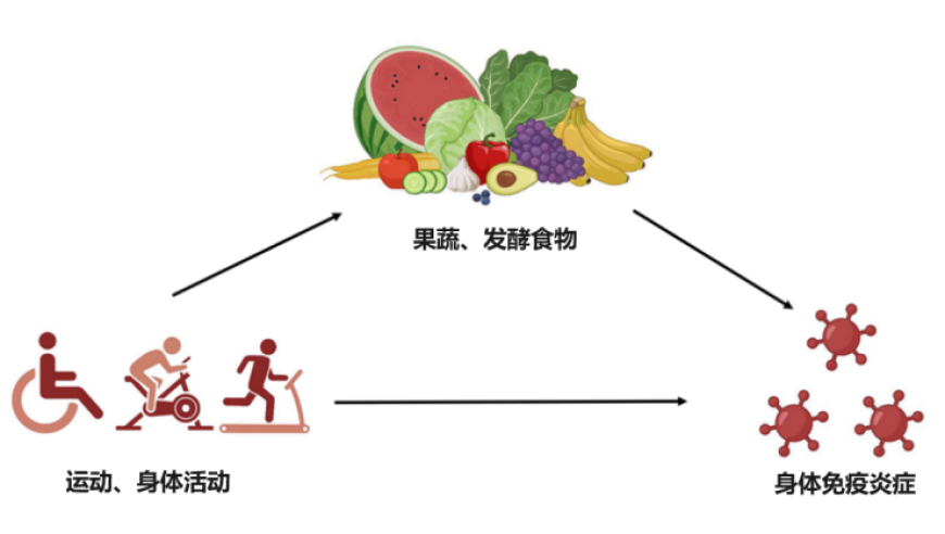 全面升级你的健康生活习惯：最新的抗衰老最佳生活方式推荐