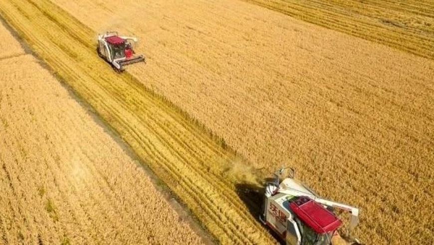 美国未来年度：粮食产量或将受压，影响全球粮价走势的潜在影响因素