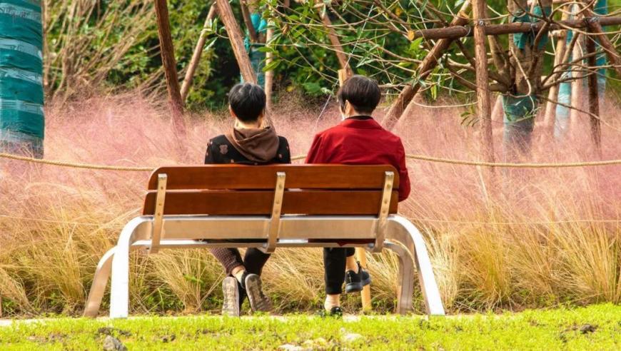 杭州良渚花田现新景：暂时只见杂草，却引来众多市民打卡留念