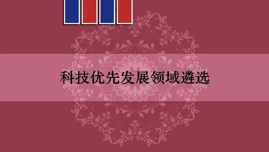 杨国梁等：科技优先发展的关键方法及实践经验分享