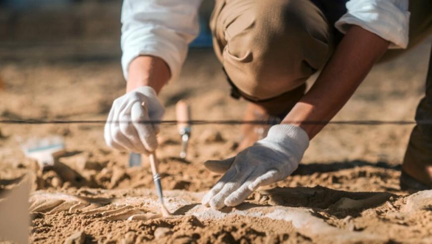 全球首次17000年前冰河时期儿童遗骸被神秘发现，引发考古学界深度探讨