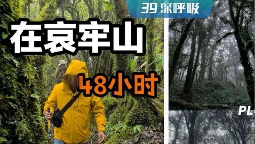 史上最多人记录的一天：哀牢山‘1亿人打卡’！警惕野兽和毒虫带来的危险！