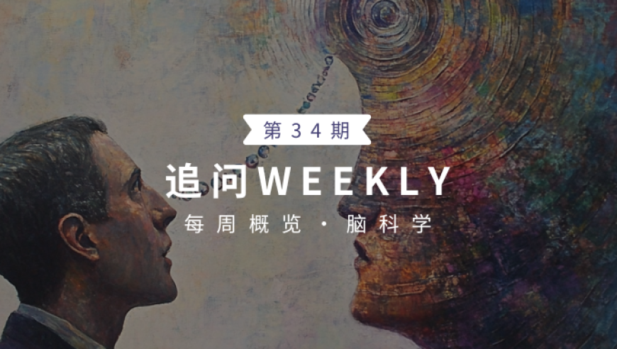 每周问答：过去一周脑科学领域的最新发现，深度解析和启示思考