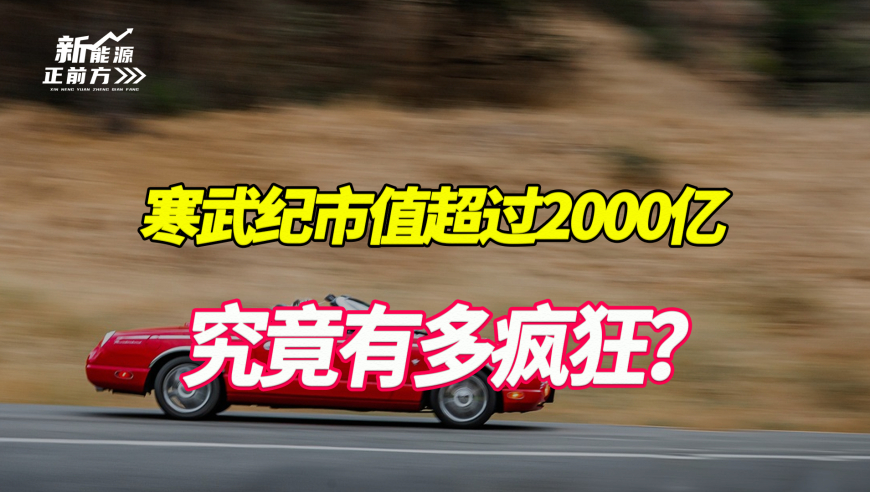 寒武纪市值翻倍：亏损的公司背后，却是高达2000亿的惊人价值