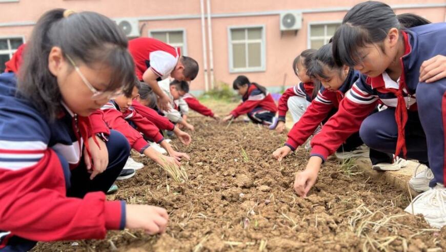 秋日里的小探险：孩子们在种植过程中体验生活乐趣