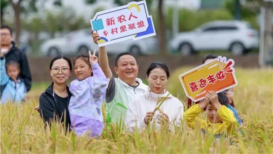 探索科技之源：这堂课在稻田里举行，我们与村民们一起学习互联网知识