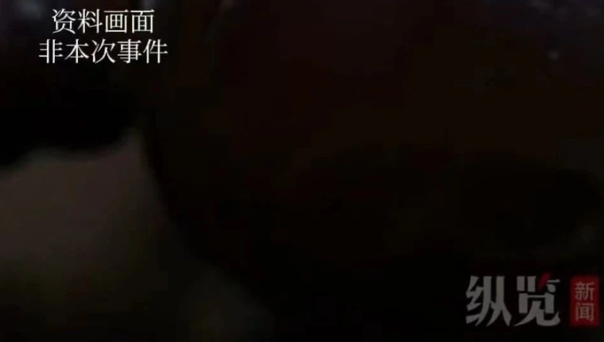 家长们离婚的结局: 一个令人意想不到的故事