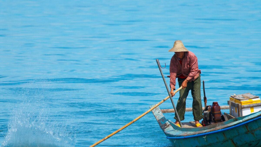 务必避免去尝试的瞬间感受：海洋美食与健康隐患