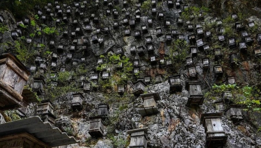 神秘的湖北与重庆交界之地：一个禁忌之境，绝美的仙境般风景引人向往