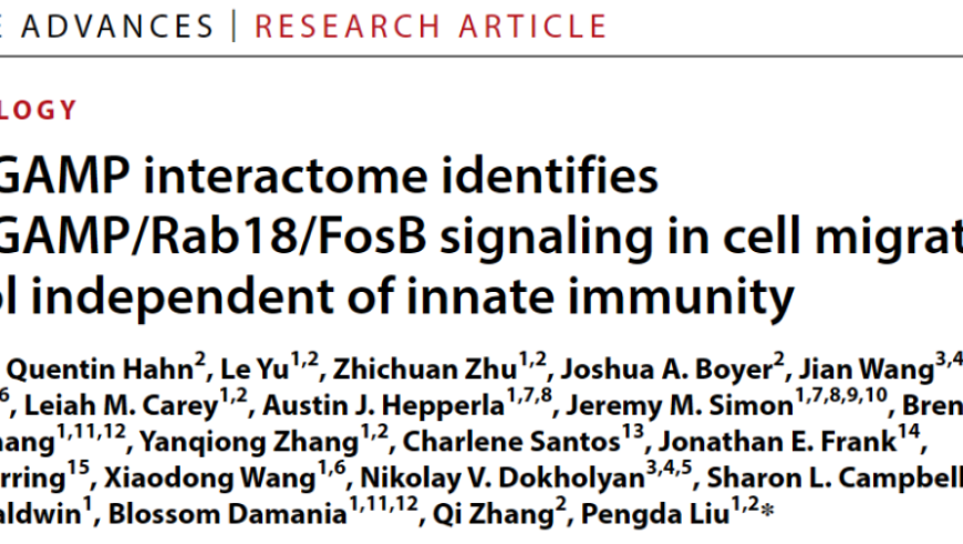 新发现：cGAMP/Rab18/FosB信号通路在细胞迁移中的关键作用