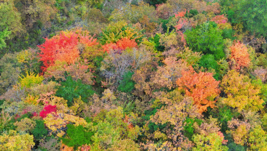 踏上珠峰之路：挑战三奥雪山的爱登高与勇敢攀登的精神探索