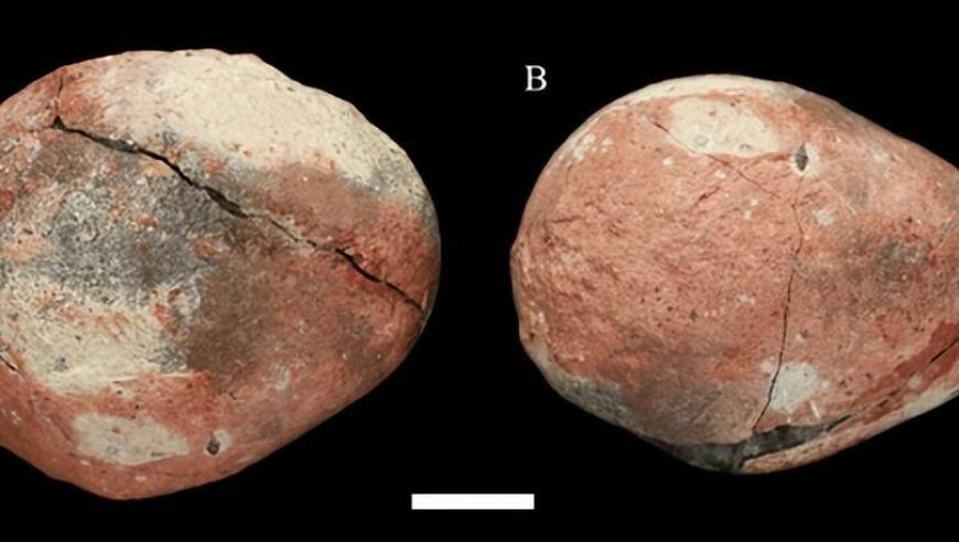科学家揭示最小恐龙蛋：前所未见的细节解析