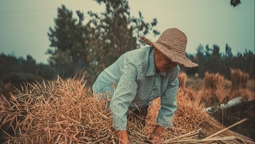 古老的农谚：‘最怕二十五雨淋门’有何深远含义？

详解：二十五雨淋门的古谚背后的深意是什么？