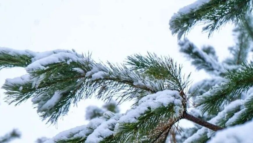 吉林寻秋记：在长白山的一场深深秋意与初雪的浪漫邂逅!