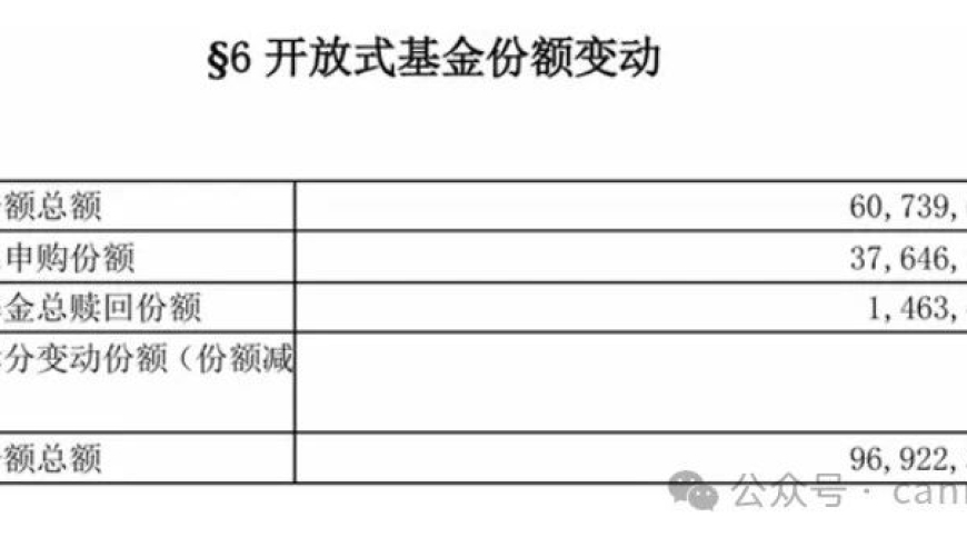 未来的投资机会：平准基金的下一个大招
或者
揭秘平准基金，下一招将引领市场走向何方