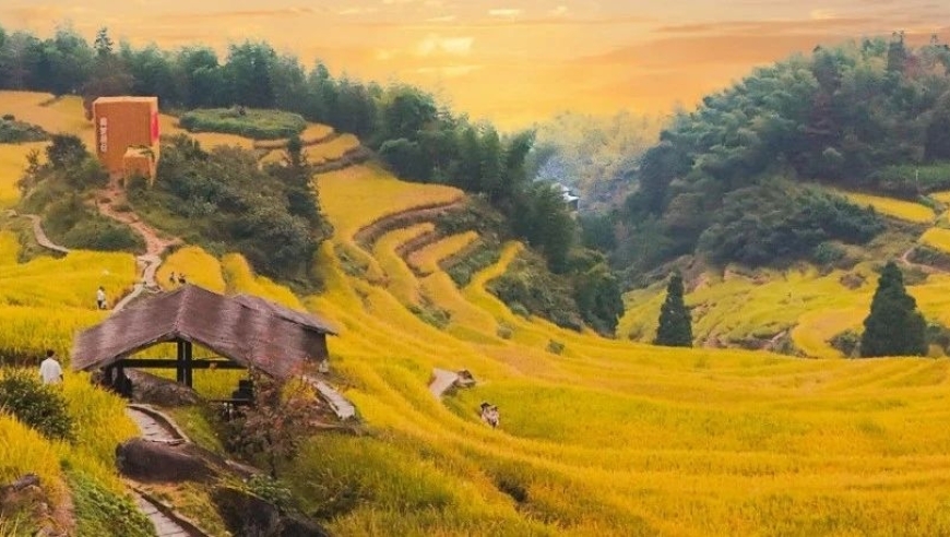 浙江乡村：秋天的色彩无需滤镜，与您一同领略原始美景