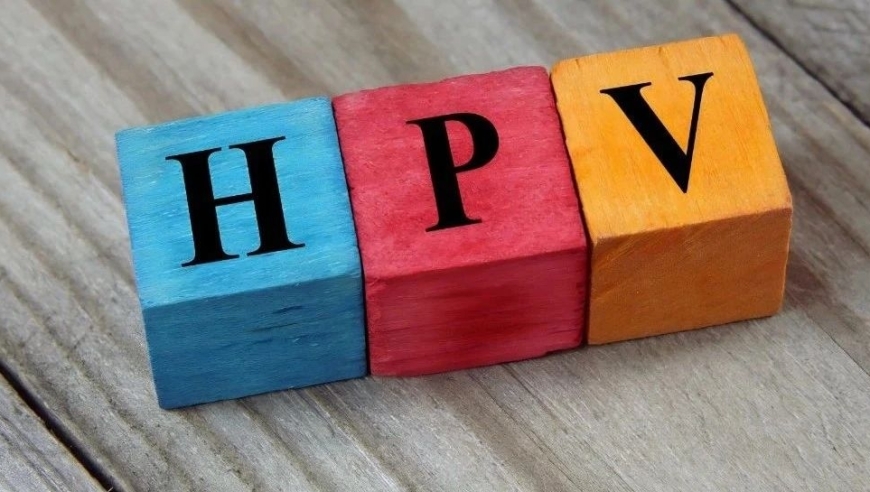 全球：为何有近一成男性会感染HPV？精子为何会被悄然伤害？