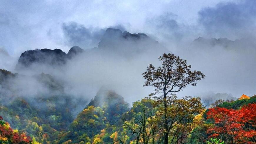 瓦屋山：秋意浓重，五彩斑斓，火焰般的秋天画卷，瓦屋山：探索绚丽之秋色。