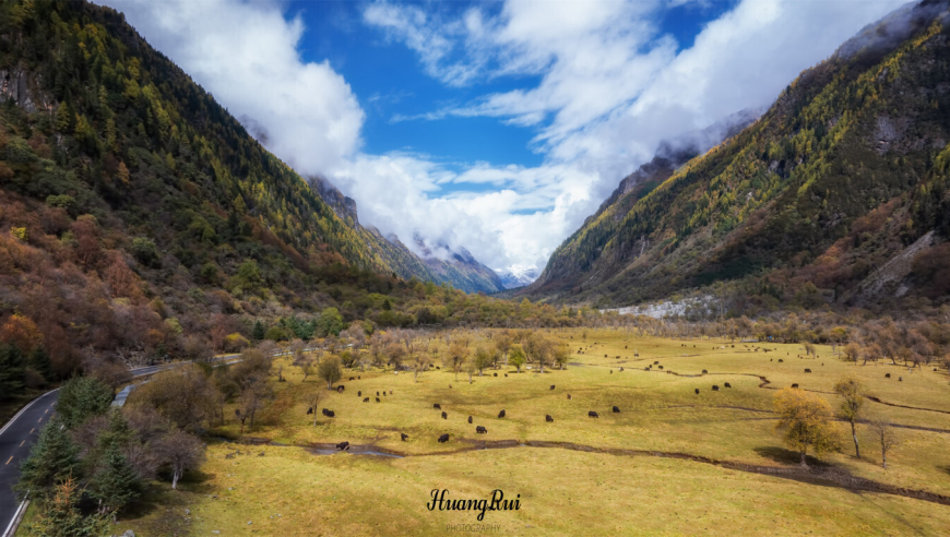 四姑娘山秋季的金色画卷：雪山湖泊与你共赏，精彩秋天旅游攻略分享