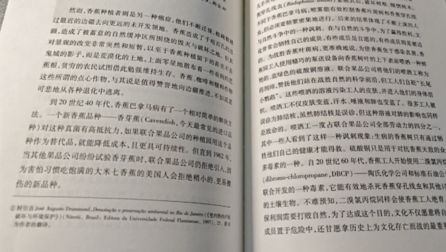 睡蕉小猴的真实身份：了解崩铁背后的故事，揭示其背后的真相